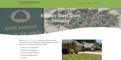 Emerald Coast Grass
