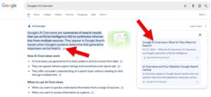Google AI Overview for Answer Engine Optimization (AEO).