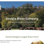 Georgia Bison Company: premium, grass-fed bison meat from Central Georgia's largest bison farm. Sustainable, humanely raised bison for burgers, steaks, and more
