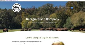 Georgia Bison Company: premium, grass-fed bison meat from Central Georgia's largest bison farm. Sustainable, humanely raised bison for burgers, steaks, and more