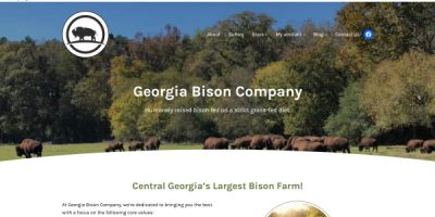 Georgia Bison Company: premium, grass-fed bison meat from Central Georgia's largest bison farm. Sustainable, humanely raised bison for burgers, steaks, and more