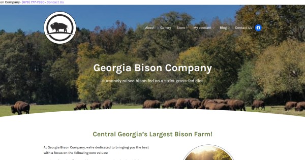 Georgia Bison Company: premium, grass-fed bison meat from Central Georgia's largest bison farm. Sustainable, humanely raised bison for burgers, steaks, and more